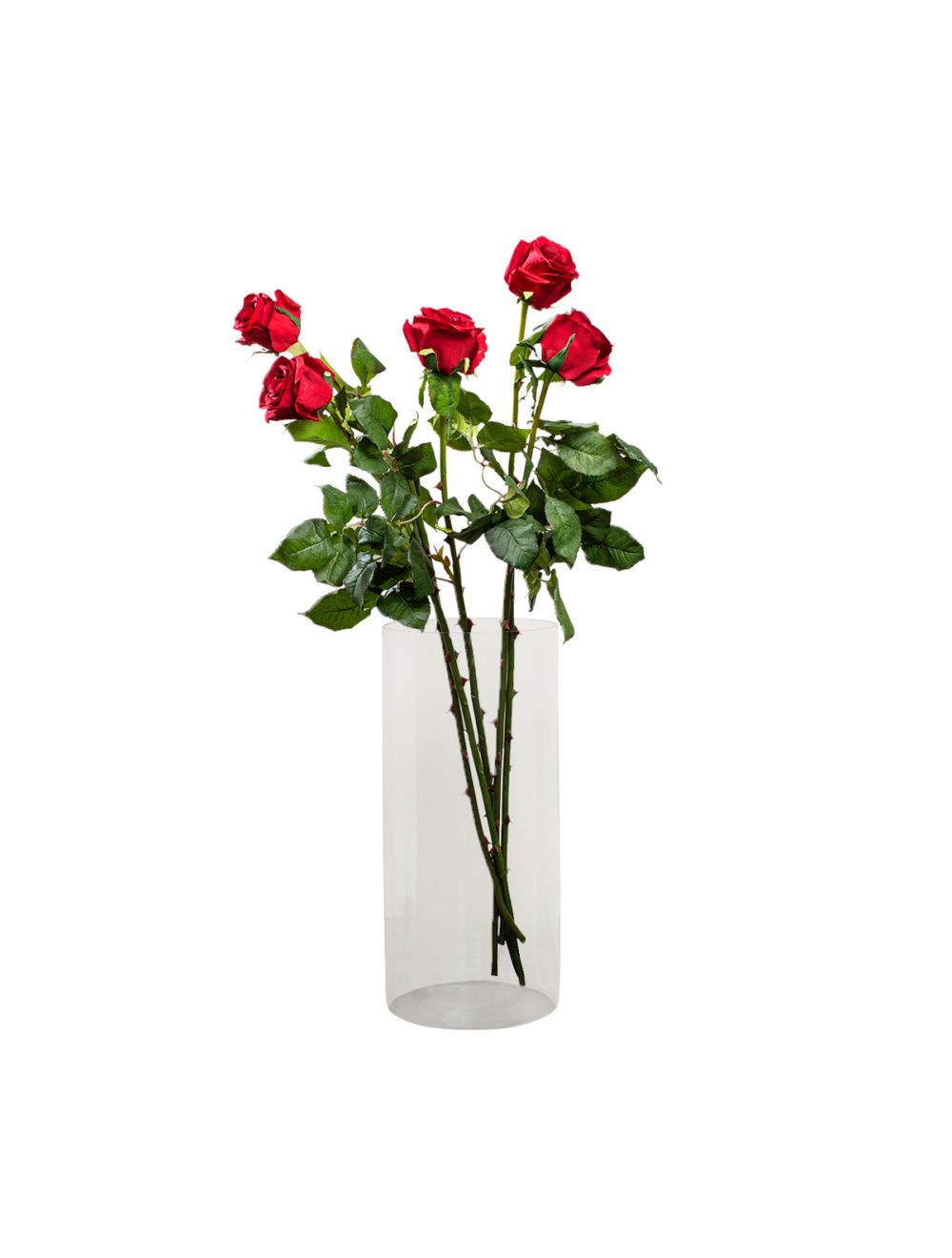 Red Rose Stem